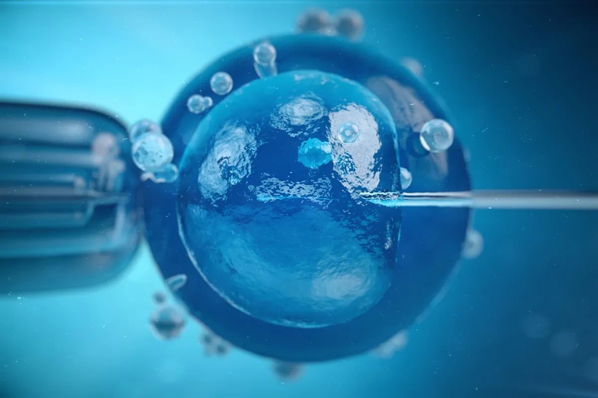 Reproductive Genetic Testing