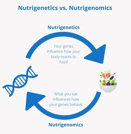 Test génétique du métabolisme nutritionnel