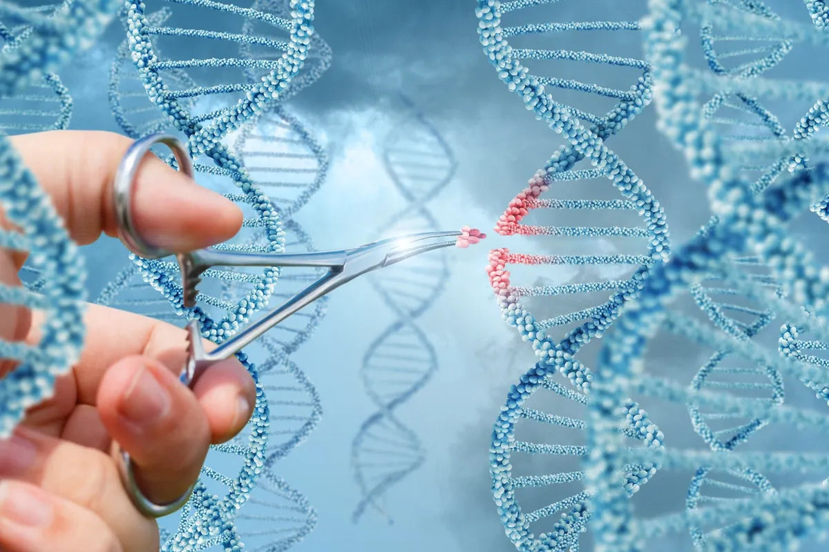 Longevity Genetic Testing