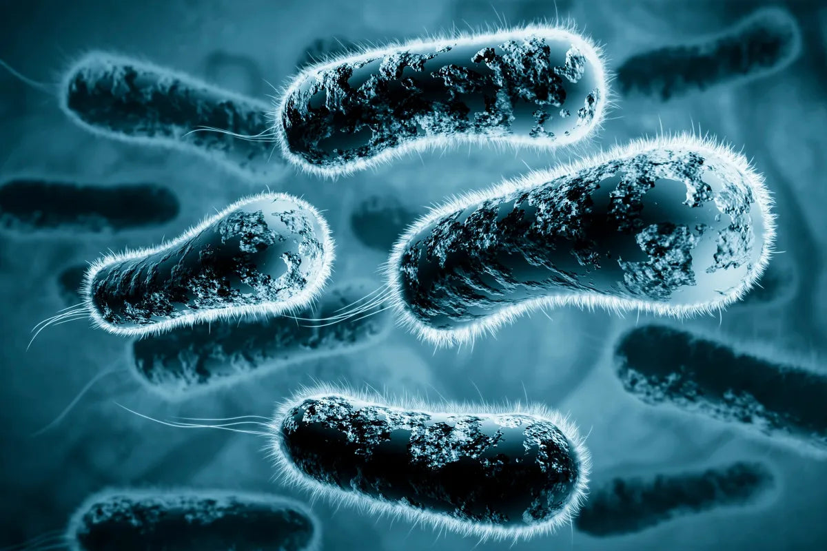 Xpress Strep A (includes Consultation with our partner health professional)