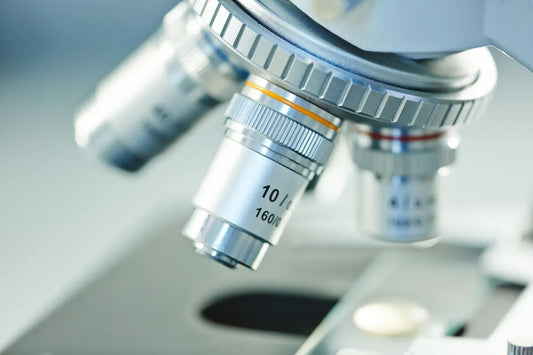 Xpert® vanA/vanB (includes Consultation with our partner health professional)