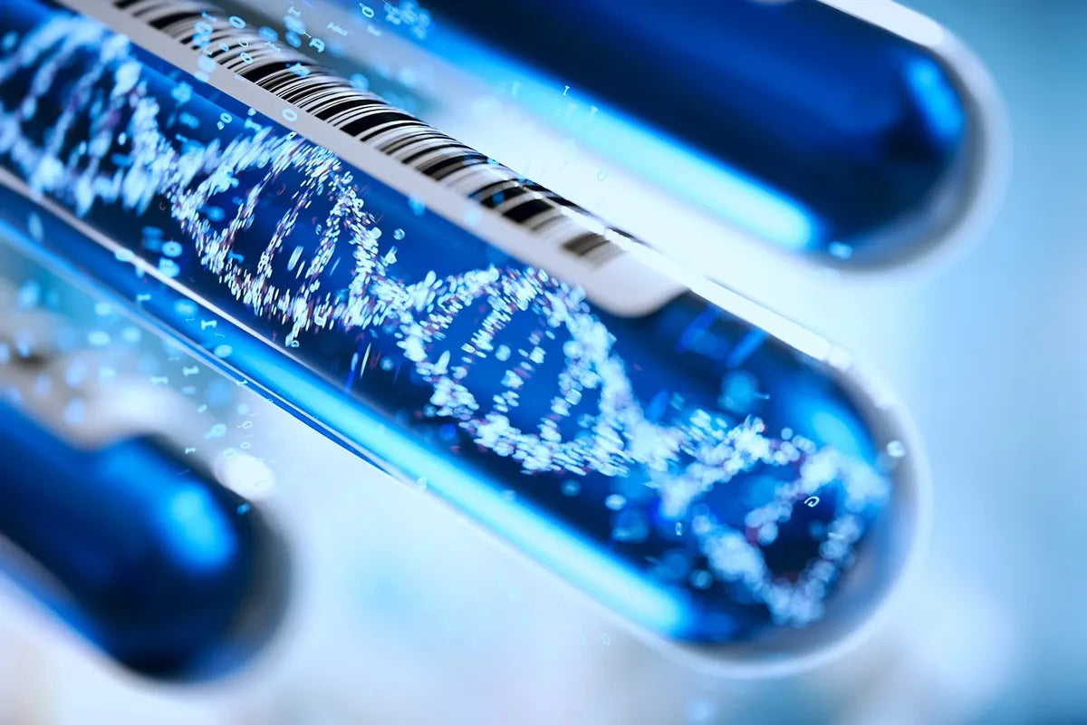 Cardiovascular Disease Risk Testing