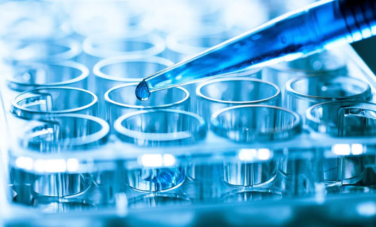 Xpert® MRSA/SA SSTI (includes Consultation with our partner health professional)